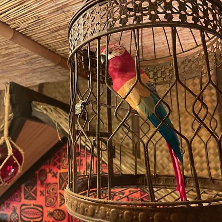 The Kondo Tiki Tampa Kültér fotó