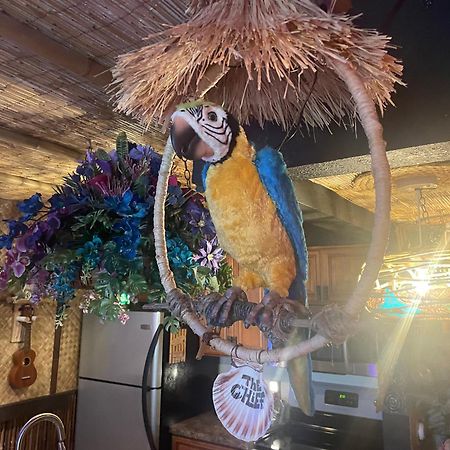 The Kondo Tiki Tampa Kültér fotó